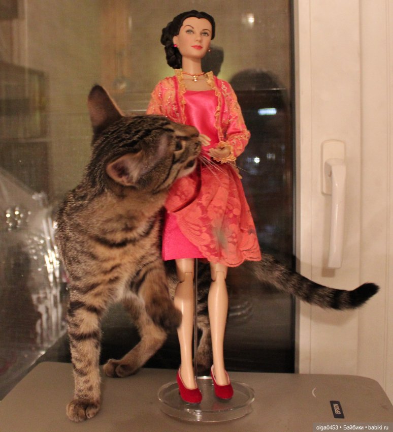 Куклы и коты или всемирный день домашних животных (фото 10)