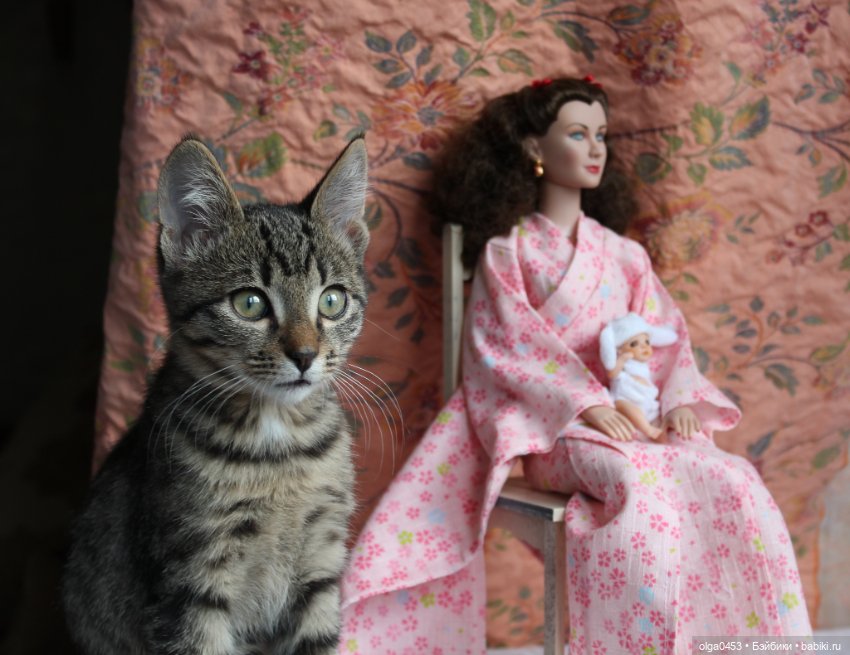Куклы и коты или всемирный день домашних животных (фото 6)