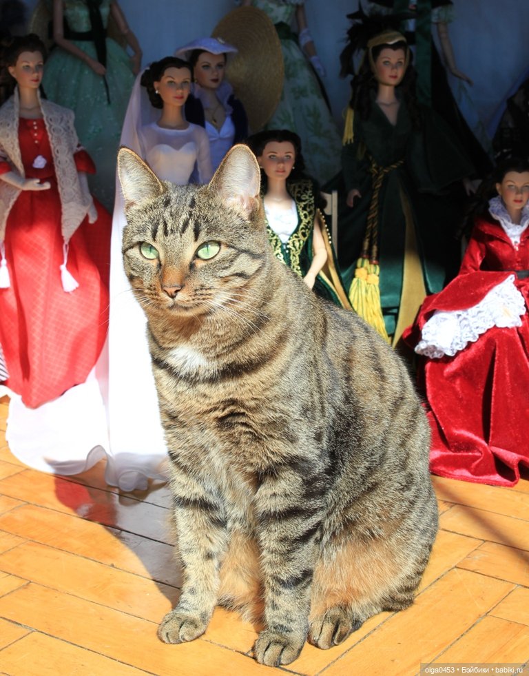 Куклы и коты или всемирный день домашних животных