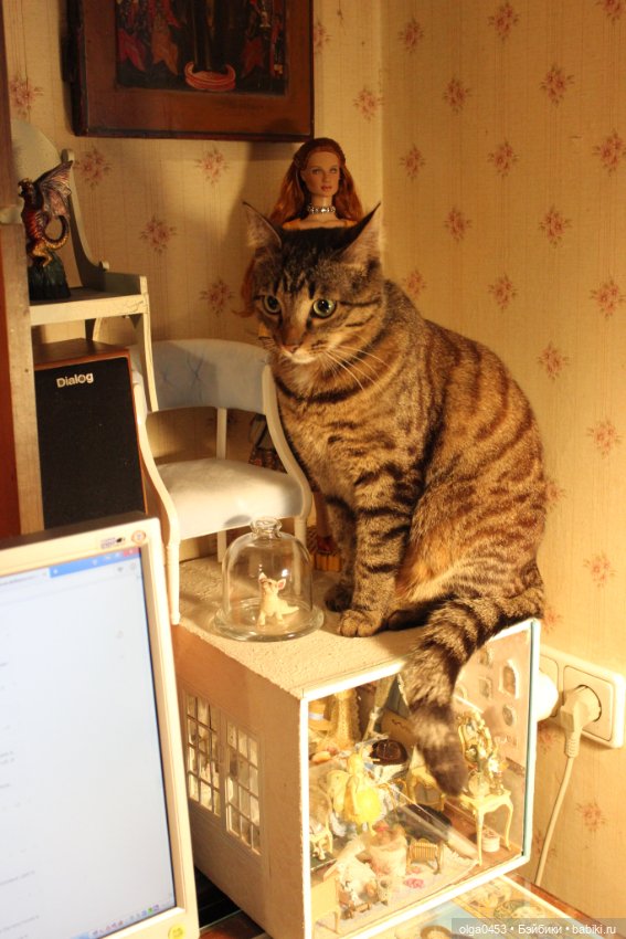 Куклы и коты или всемирный день домашних животных