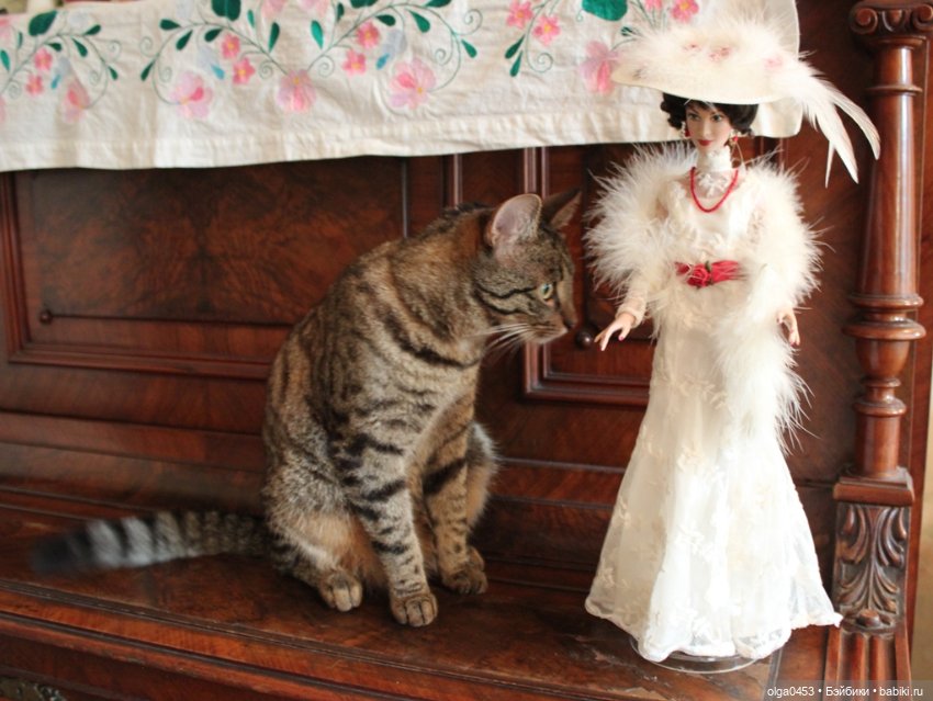 Куклы и коты или всемирный день домашних животных