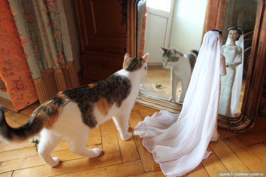 Куклы и коты или всемирный день домашних животных