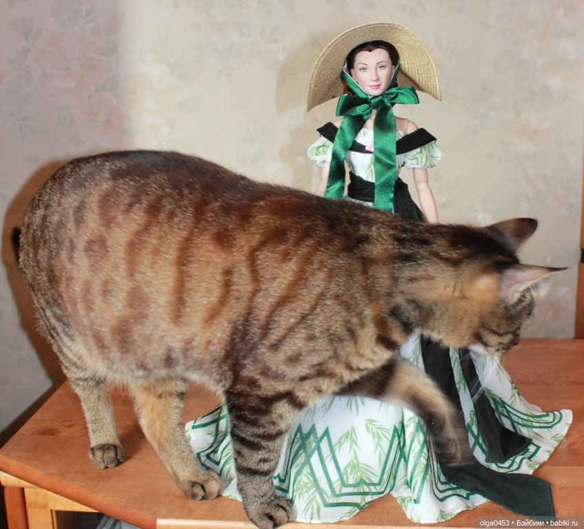 Куклы и коты или всемирный день домашних животных