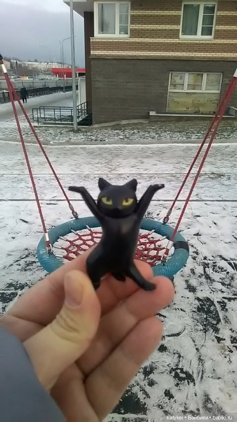 День домашних животных и танцы (фото 4)