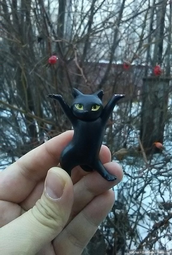 День домашних животных и танцы (фото 5)