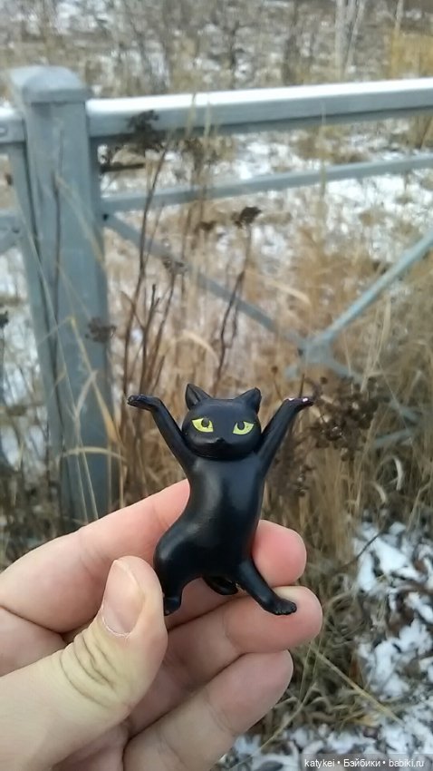 День домашних животных и танцы (фото 3)