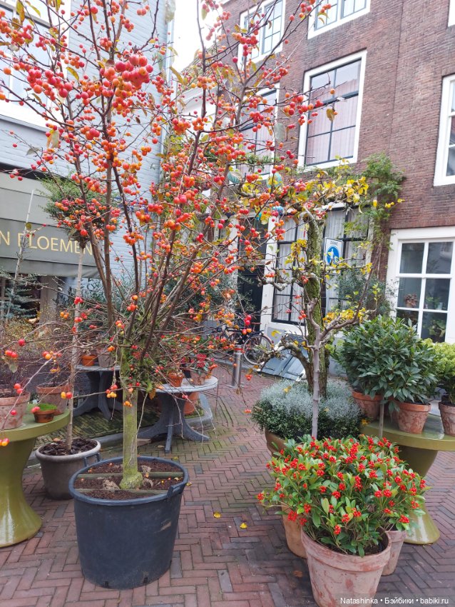 Fashion Dolls 445 — Туризм и путешествия: фотоотчеты из поездок (фото 2)