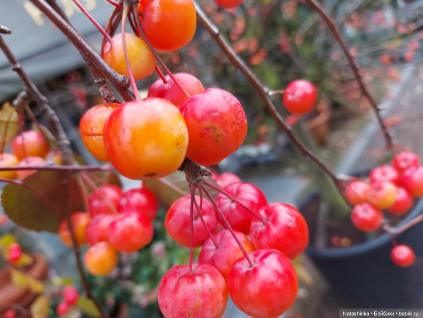 Fashion Dolls 445 — Туризм и путешествия: фотоотчеты из поездок (фото 3)