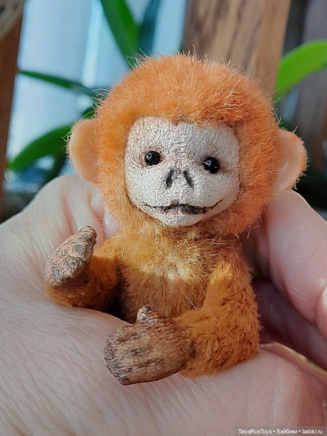 Пополнение в минизоопарке (фото 5)