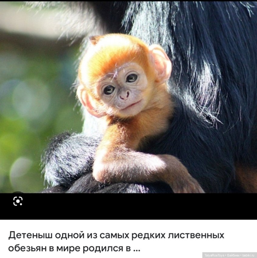 Пополнение в минизоопарке (фото 4)