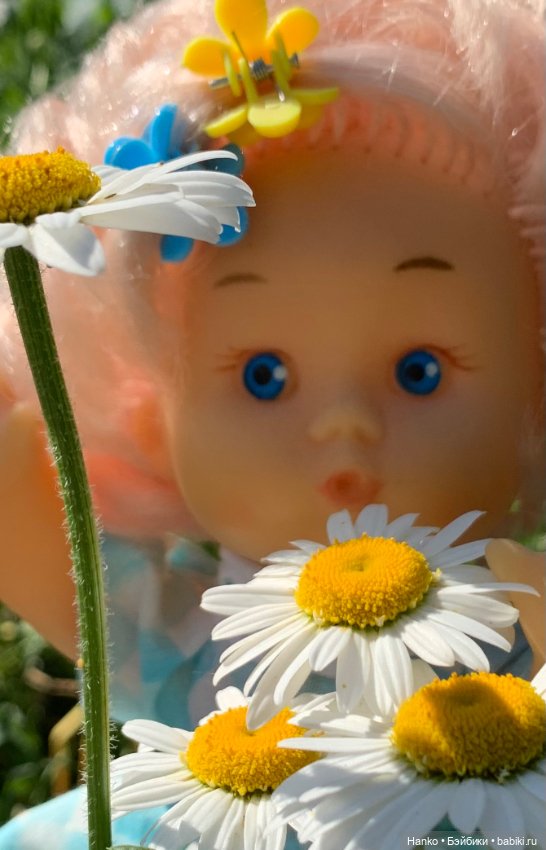 В первый день зимы фотографии солнечного лета (фото 3)