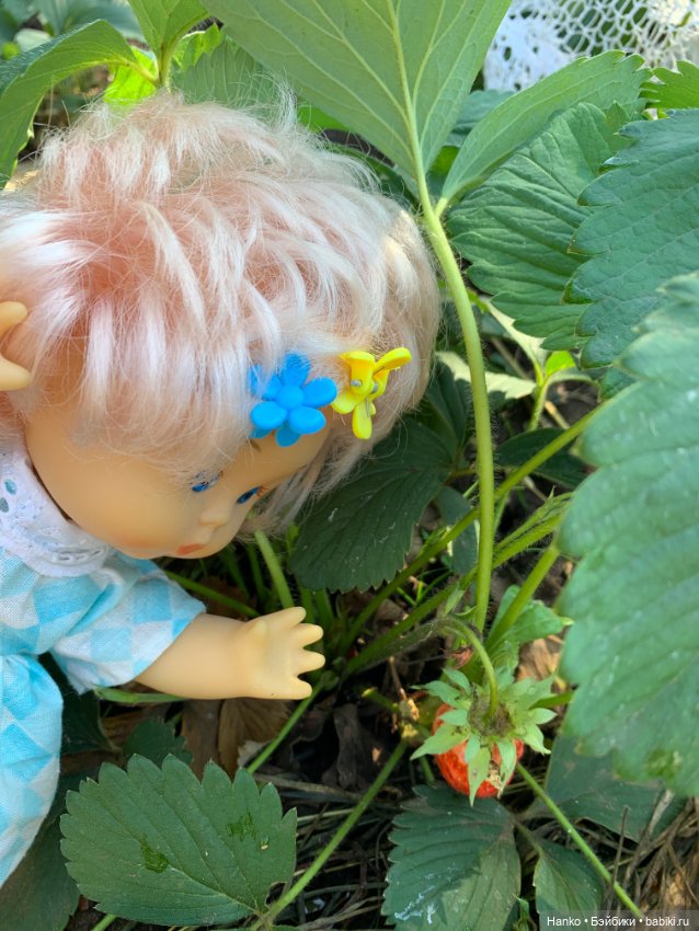 В первый день зимы фотографии солнечного лета