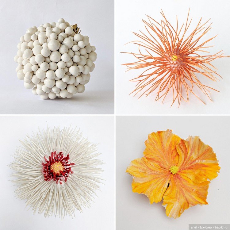 Разнообразный мир растений от Авиталь Авиталь (Avital Avital) (фото 5)