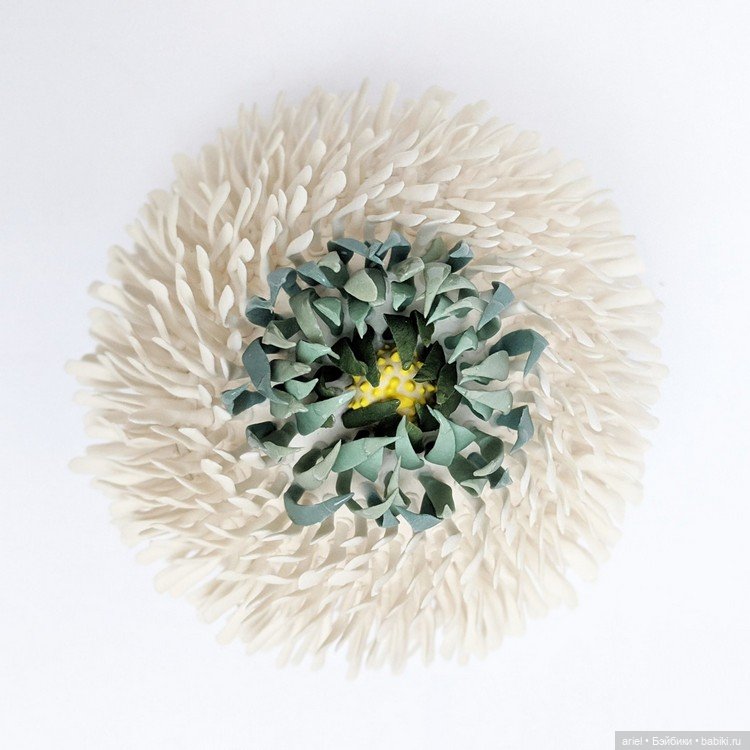 Разнообразный мир растений от Авиталь Авиталь (Avital Avital)