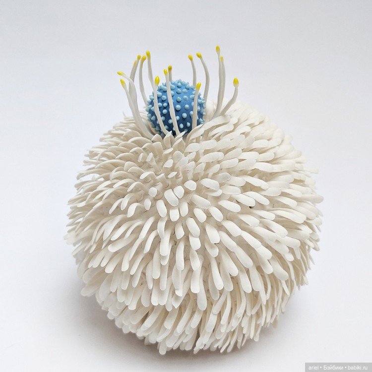 Разнообразный мир растений от Авиталь Авиталь (Avital Avital) (фото 7)