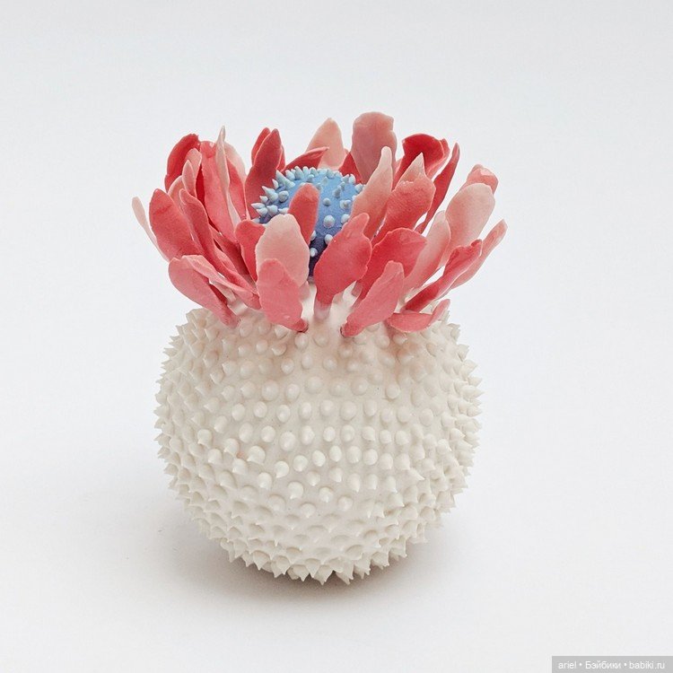 Разнообразный мир растений от Авиталь Авиталь (Avital Avital) (фото 4)