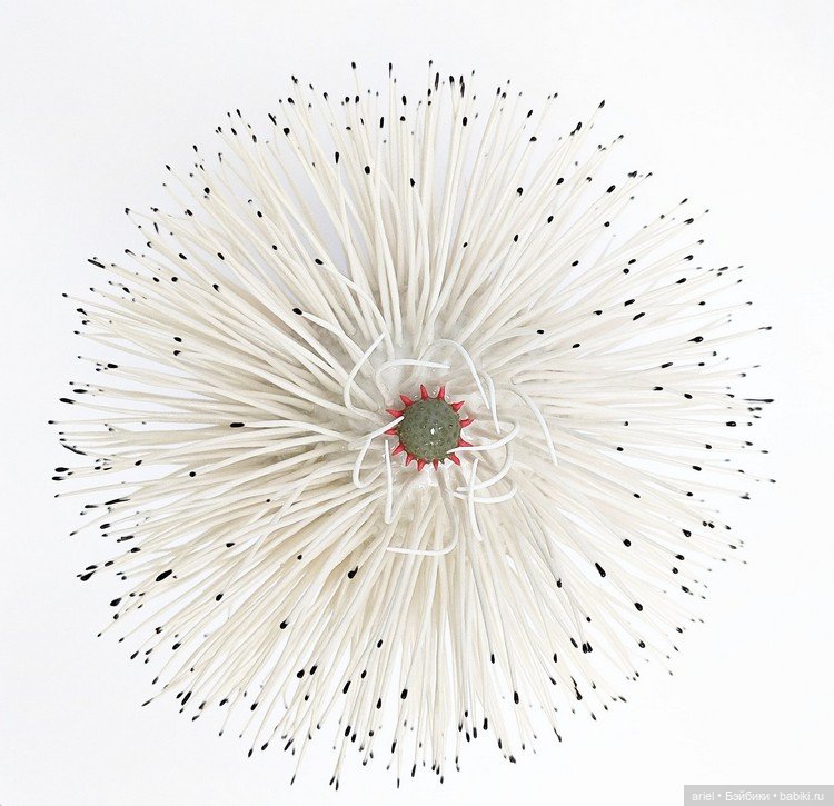 Разнообразный мир растений от Авиталь Авиталь (Avital Avital) (фото 2)