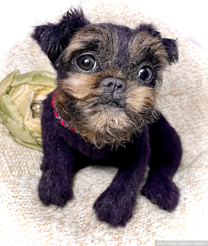 Маффин🐾🐶 — Реалистичные игрушки и звери (Натюр): собаки