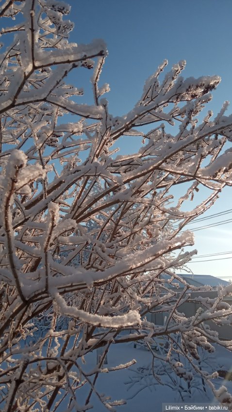 Новогодняя коллекция .Часть 3