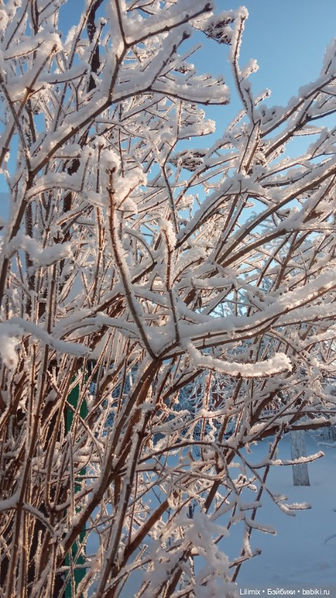 Новогодняя коллекция .Часть 3 (фото 2)