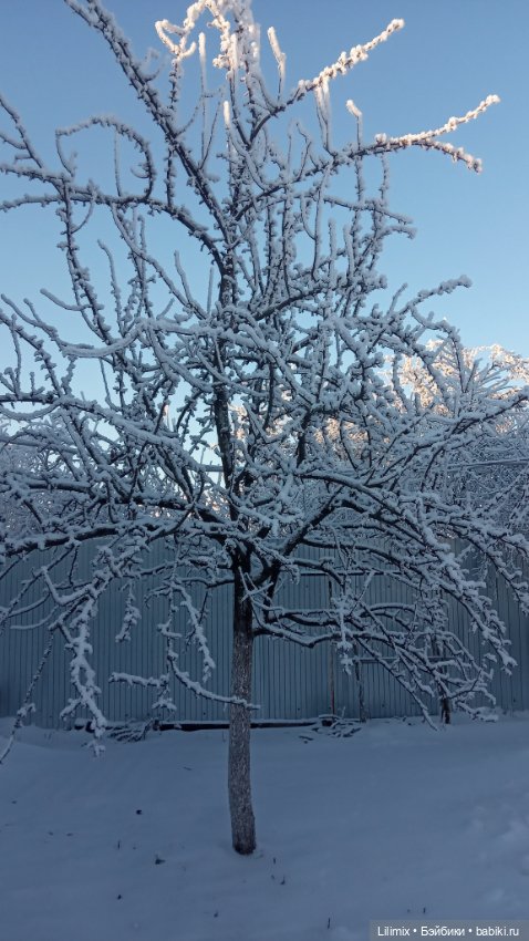 Новогодняя коллекция .Часть 3