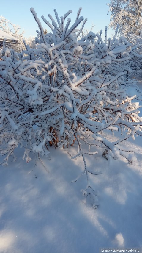 Новогодняя коллекция .Часть 3