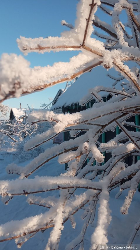 Новогодняя коллекция .Часть 3