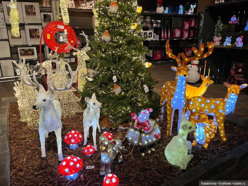 Fashion Dolls 448 — Туризм и путешествия: фотоотчеты из поездок