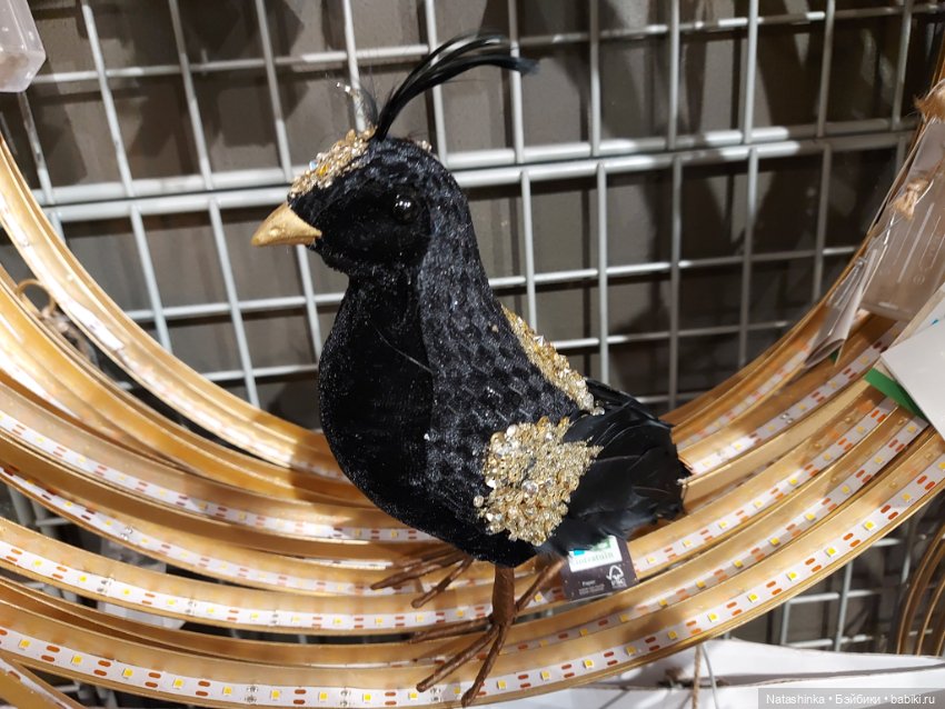 Fashion Dolls 448 — Туризм и путешествия: фотоотчеты из поездок