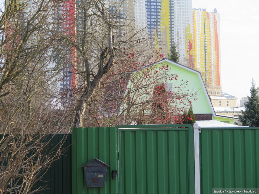 Зима в деревне для Стеллы Ruby Red Siblies