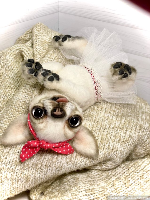 Мира 🐶🐾🐾🐾 — Реалистичные игрушки и звери (Натюр): собаки