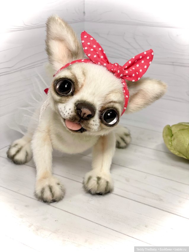 Мира 🐶🐾🐾🐾 — Реалистичные игрушки и звери (Натюр): собаки