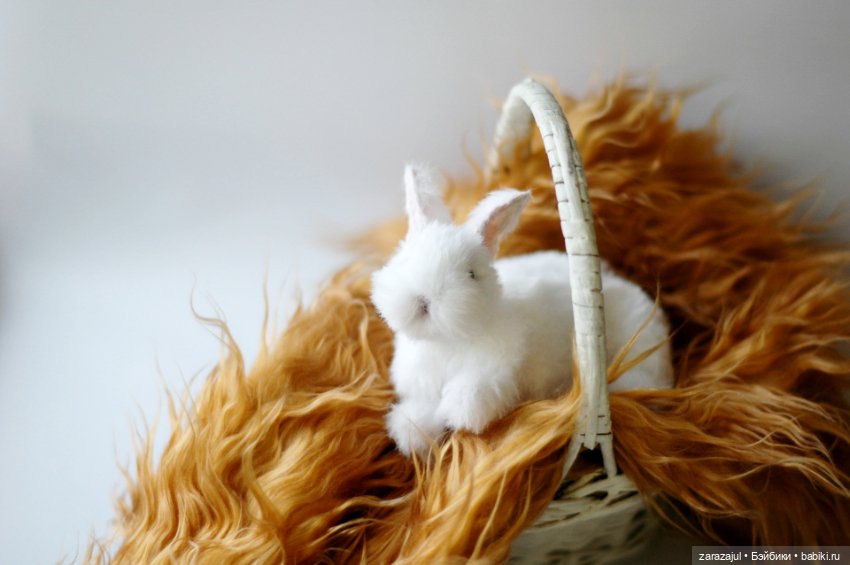 Ещё один кролик — Авторские мишки Тедди и друзья: фото (фото 2)