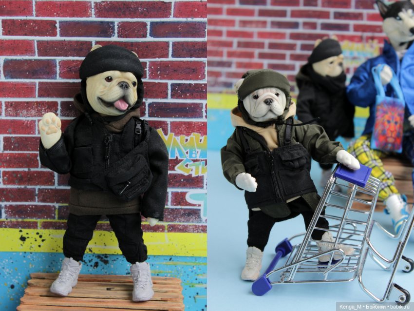 Собачки Mr.Z и немного котиков (фото 8)