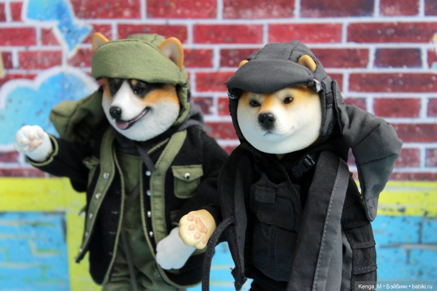 Собачки Mr.Z и немного котиков (фото 7)