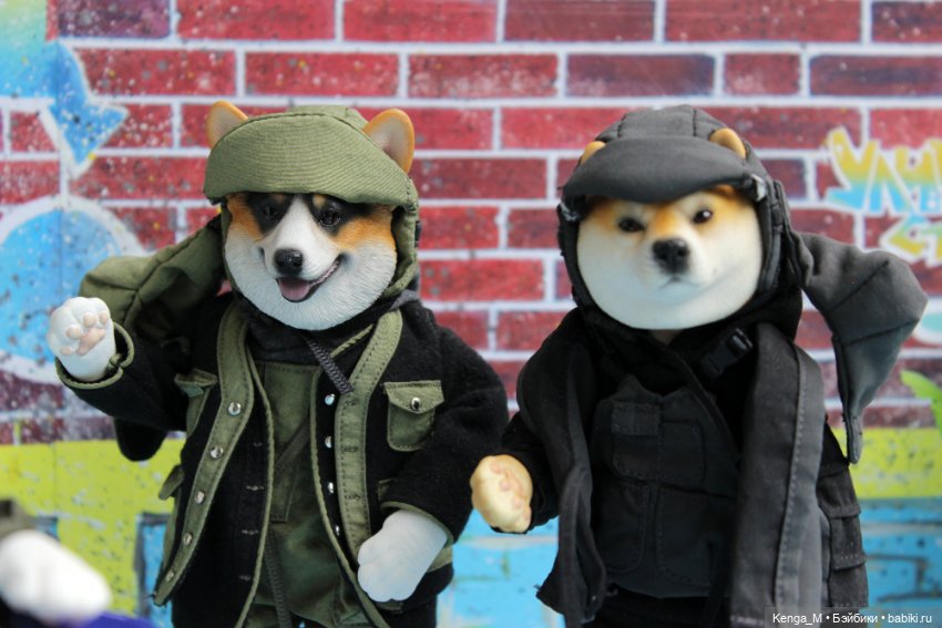 Собачки Mr.Z и немного котиков (фото 6)