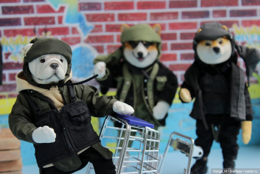 Собачки Mr.Z и немного котиков (фото 5)