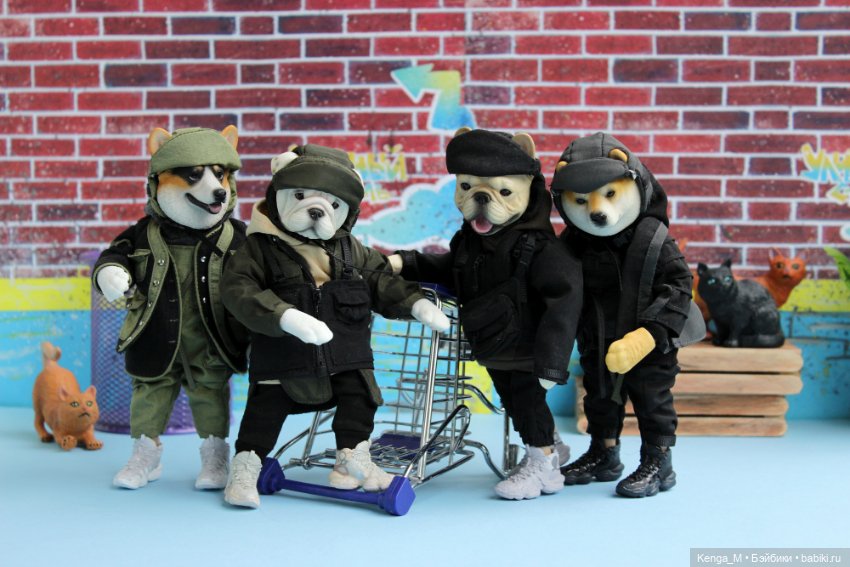 Собачки Mr.Z и немного котиков