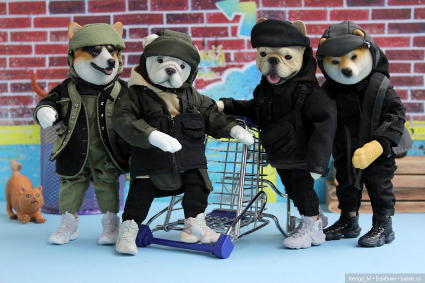 Собачки Mr.Z и немного котиков