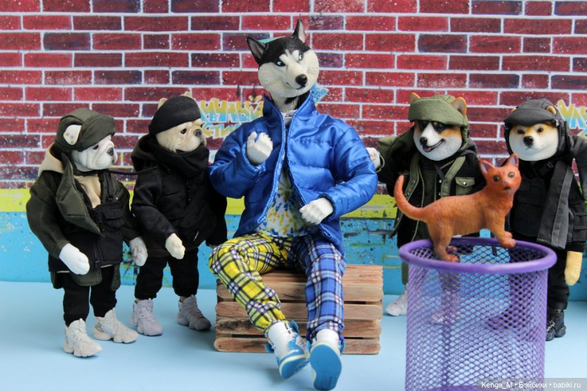 Собачки Mr.Z и немного котиков