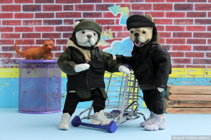 Собачки Mr.Z и немного котиков (фото 9)