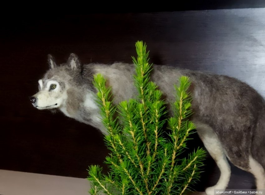 Волчица Тайга — Валяные игрушки из шерсти: сухое валяние (фото 6)