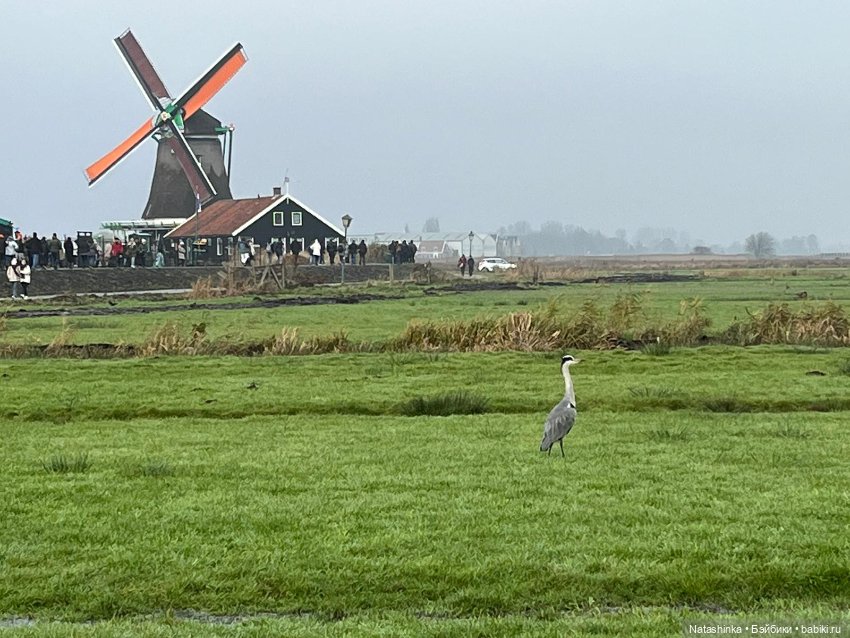 Fashion Dolls 452 — Туризм и путешествия: фотоотчеты из поездок