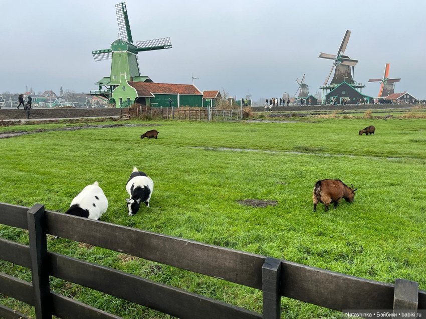 Fashion Dolls 452 — Туризм и путешествия: фотоотчеты из поездок