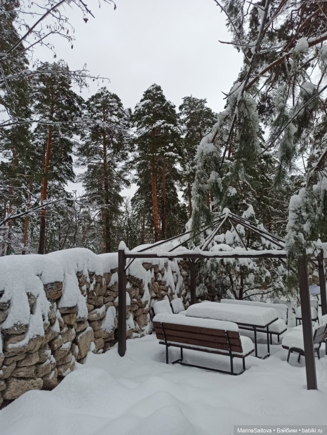 Снежно-дождливые выходные (фото 2)