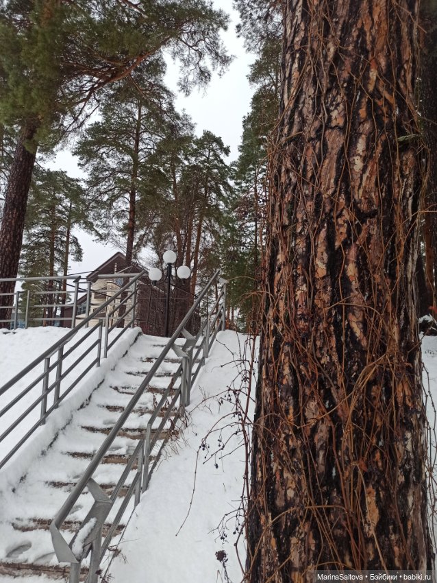 Снежно-дождливые выходные