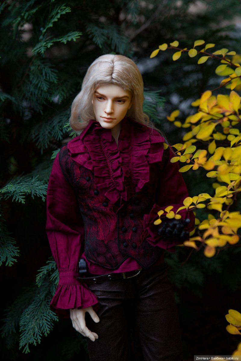 Осенняя прогулка Барона — Куклы Iplehouse (Иплхаус): BJD (БЖД) (фото 2)