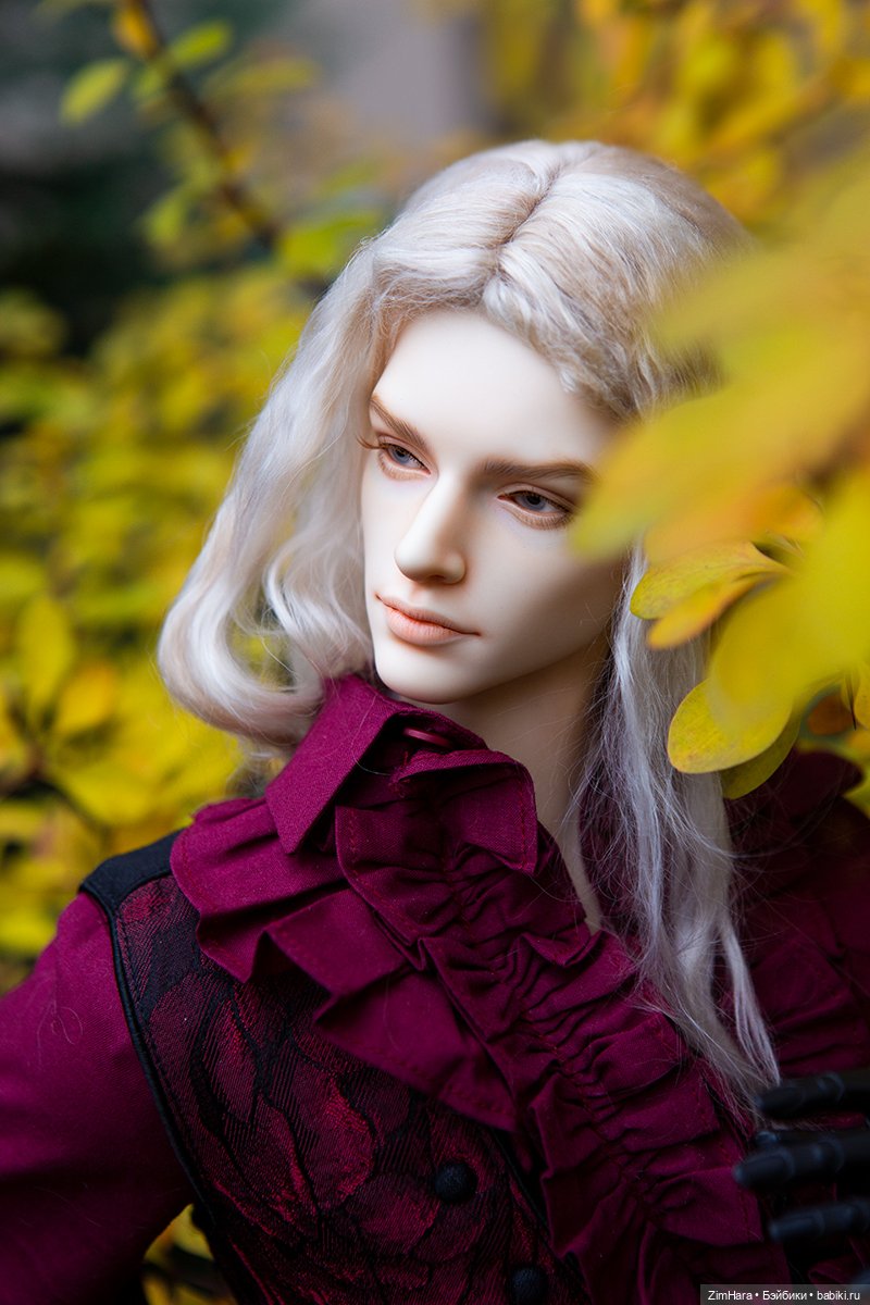 Осенняя прогулка Барона — Куклы Iplehouse (Иплхаус): BJD (БЖД) (фото 6)