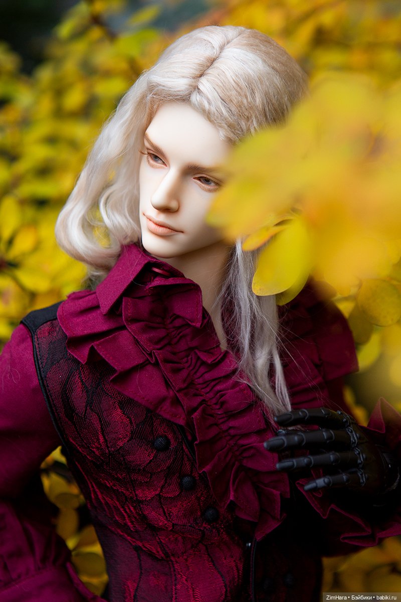 Осенняя прогулка Барона — Куклы Iplehouse (Иплхаус): BJD (БЖД) (фото 5)