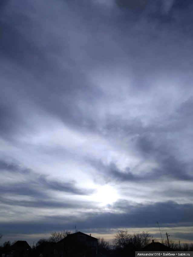 Может знает лес высоту Небес🌤️